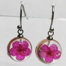 Stainless steel forget me not natural resin flower earrings
