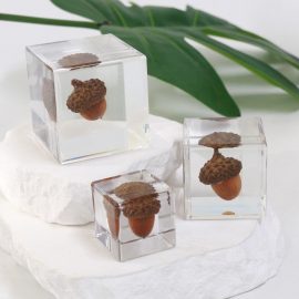 Living room accessories resin real acorn paperweight