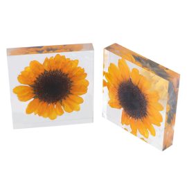 Natural sunflower handmade resin crafts paperweight