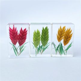 Home decation resin crafts plant wheat ear paperweight