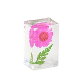 Natural real daisy flower resin paperweight decoration