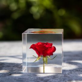 Transparent square real dry pressed flower clear crystal resin floral paperweight