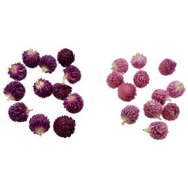 Purple flower real gomphrena globosa resin floral charms