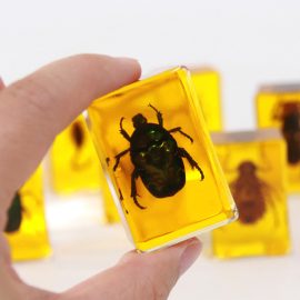 Wholesale product insect resin paperweight spider scorpion holiday gift resin crafts toys kids