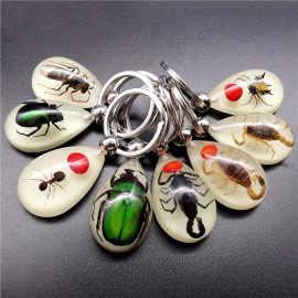 Luminous amber insect keychain real insect resin specimen pendant