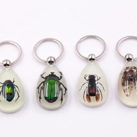 Factory wholesale real insect specimen large amber glow-in-the-dark insect key chain pendant jewelry keychain