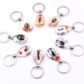 Hot sale insect drops glue key chain source factory epoxy resin insect amber keychains in bulk